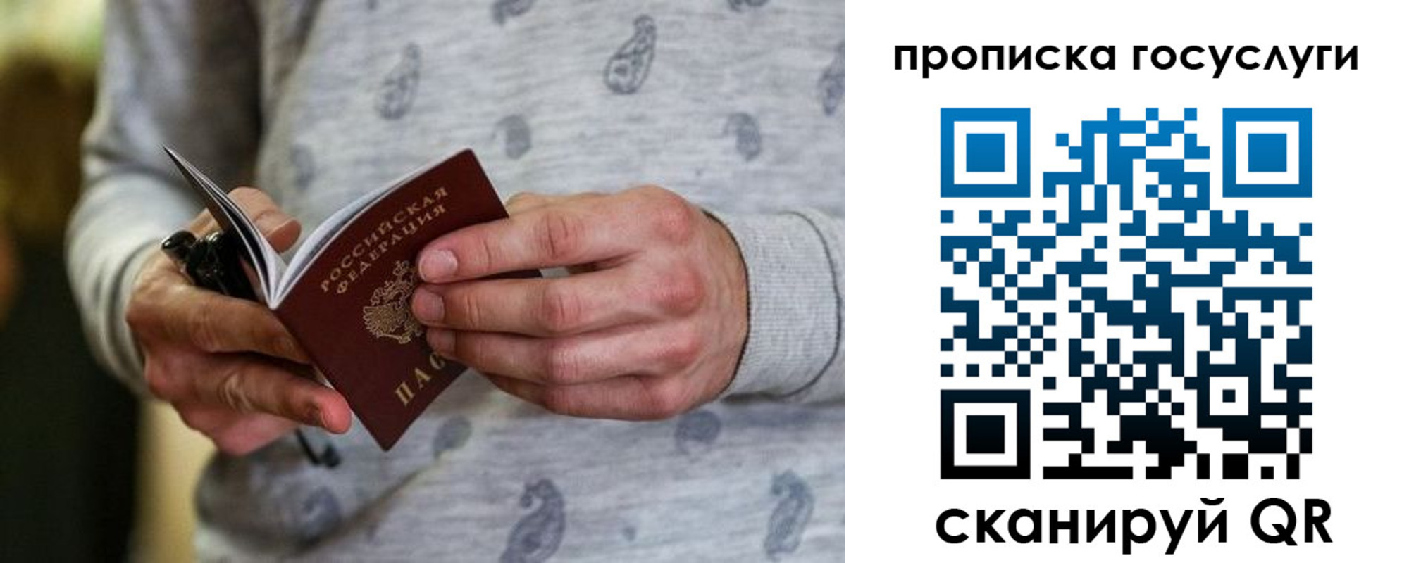 прописка в Ермолино